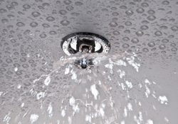 Fire Sprinkler