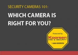Which camera is right for you?